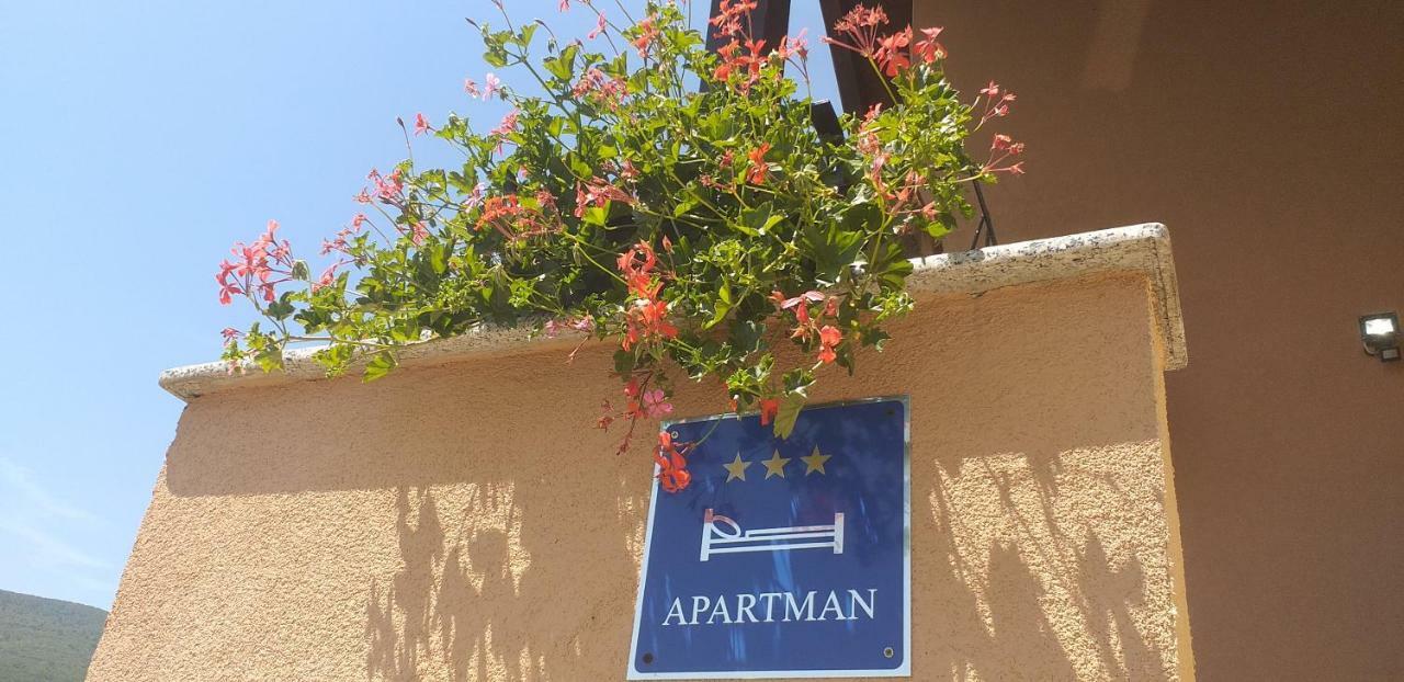 Apartman Vidovic Apartment Korenica Exterior photo